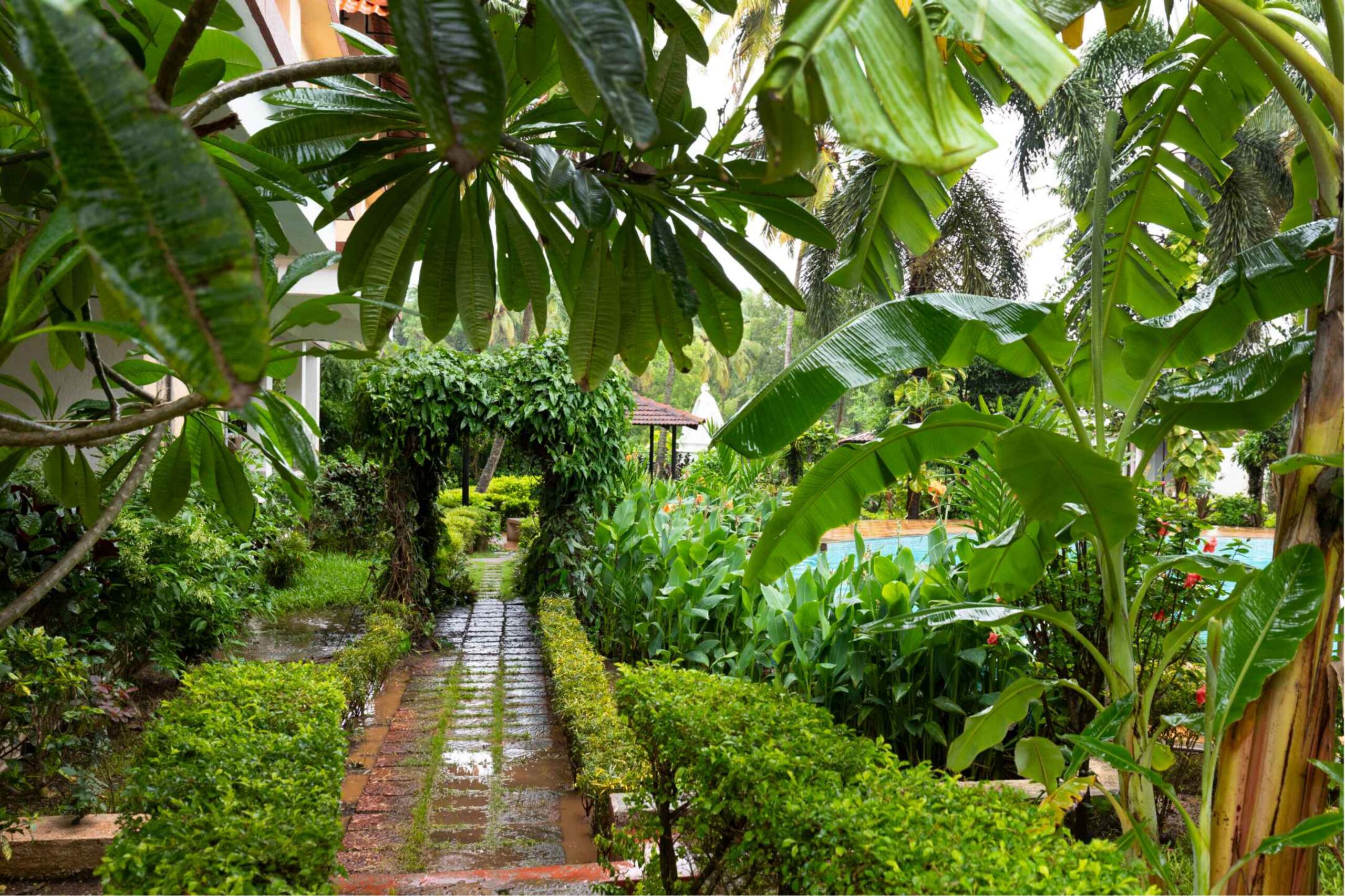 101 Raga 1BHK Arpora_page-0014